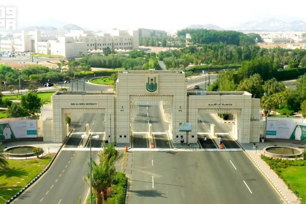 Advisory Sessions Begin for Hajjathon 4's Second Phase to Improve Pilgrim Services