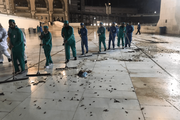 Mecca’s Grand Mosque plagued by swarm of locusts