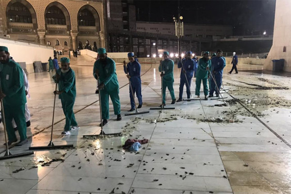 Grand Mosque in Makkah swarmed by thousands of black crickets