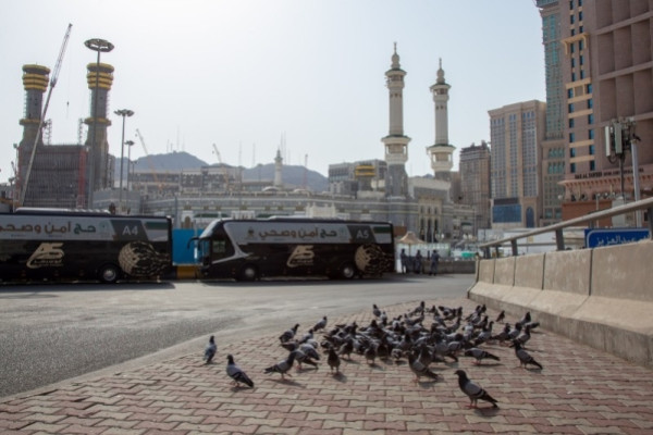Over 700 Umrah companies geared up to receive foreign pilgrims