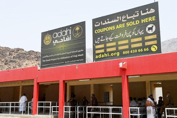 800 vets to oversee slaughter of over 1m animals during Hajj