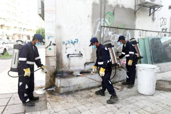 Municipality in Madinah fears return of crickets, grasshoppers